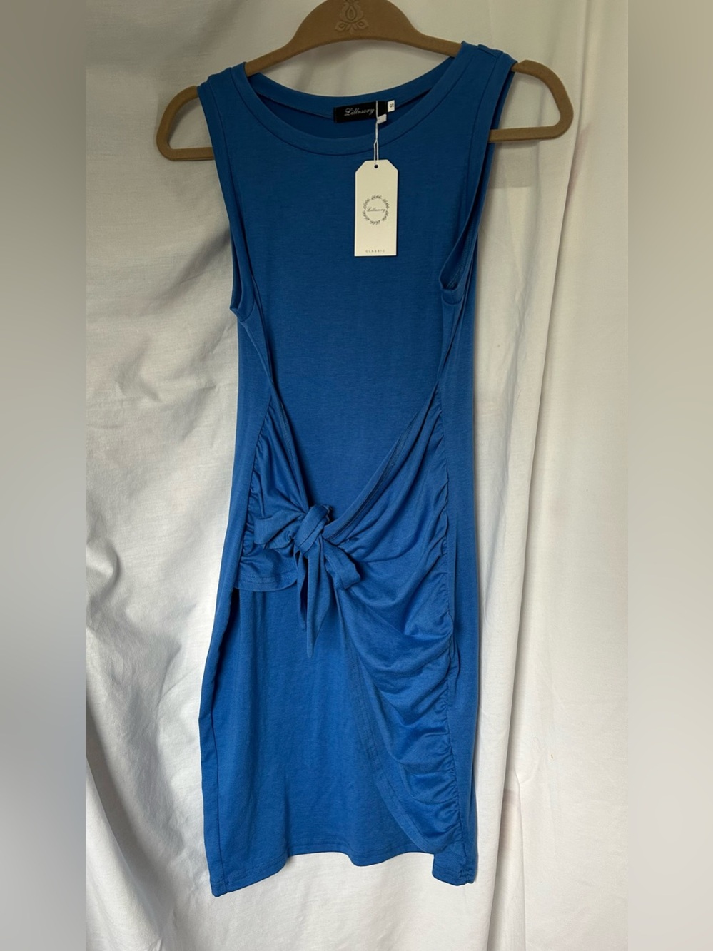 NWT Adorable Sleeveless Knot-Front Mini Dress in Blue by Illusory. Size Small